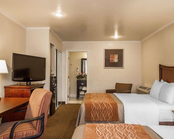 Blu Pacific Hotel image 16