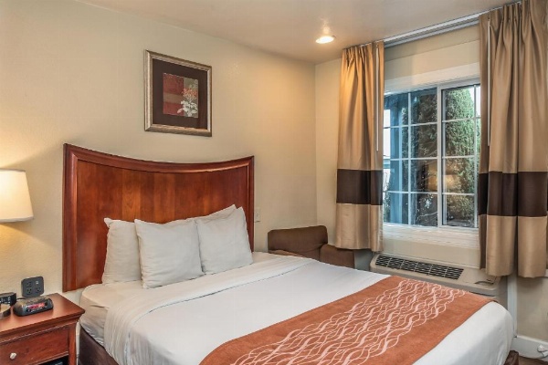 Blu Pacific Hotel image 22
